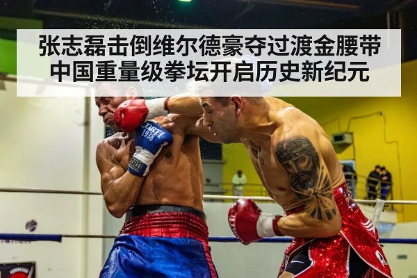 张志磊击倒维尔德豪夺过渡金腰带 中国重量级拳坛开启历史新纪元